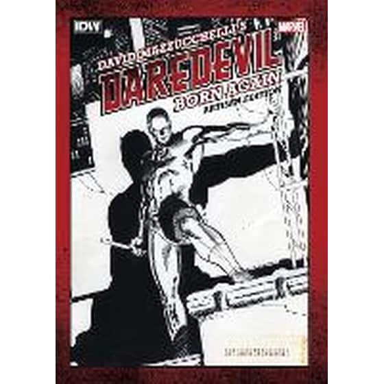 David Mazzucchelli's Daredevil Born Again Artisan Edition image 0