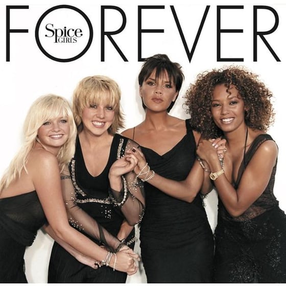 Forever (Vinyl) image 0