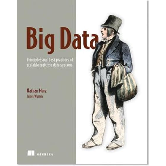 Big Data- Principles and Best Practices of Scalable Realtime Data Systems image 0