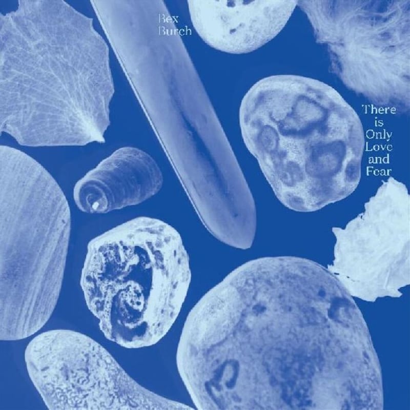 There Is Only Love And Fear (LP)