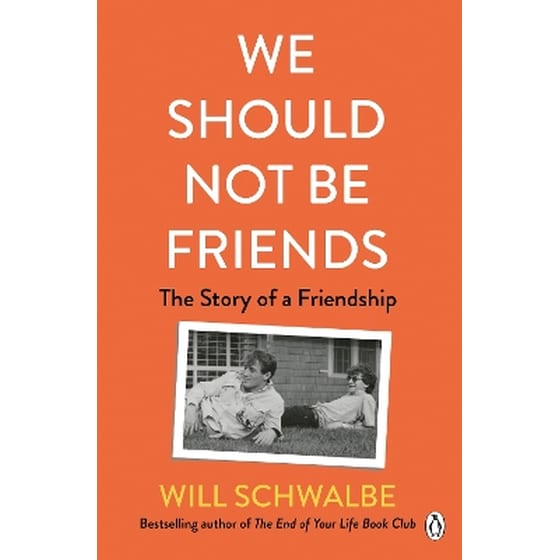 We Should Not Be Friends image 0