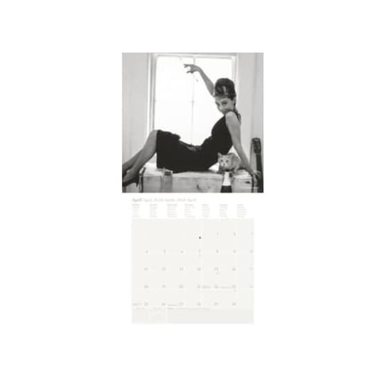 ΗΜΕ.ΤΟΙΧΟΥ 30Χ30 AUDREY HEPBURN 2016 image 4