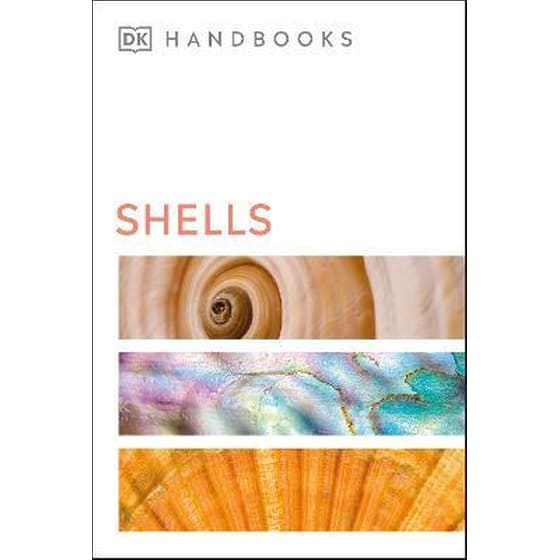 Shells image 0