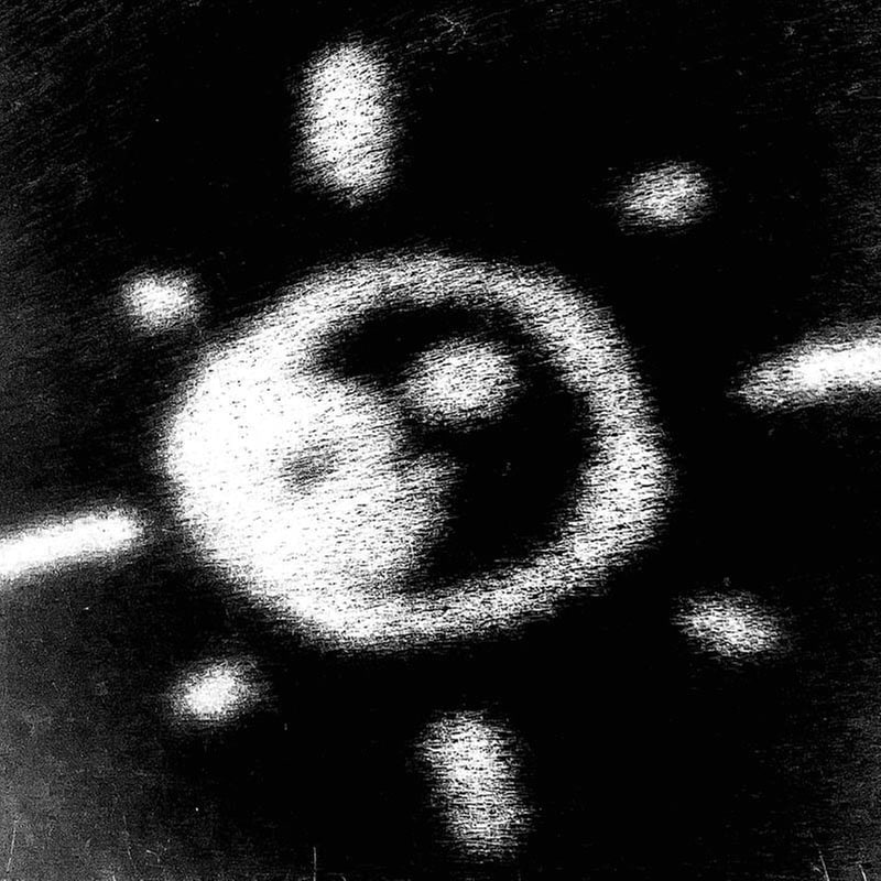 Glow In The Dark Flowers