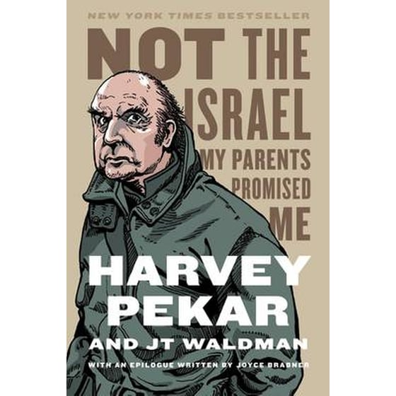 Not the Israel My Parents Promised Me image 0