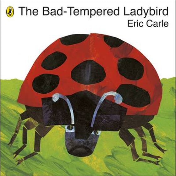 Bad-tempered Ladybird image 0