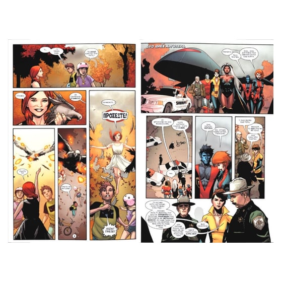 Phoenix - Ressurection image 3