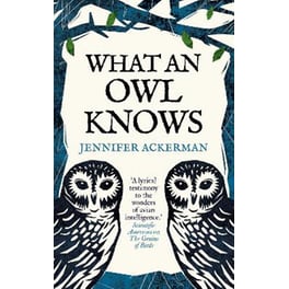 What an Owl Knows