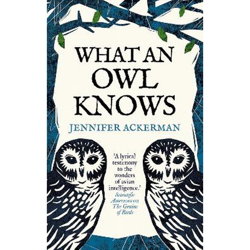 What an Owl Knows
