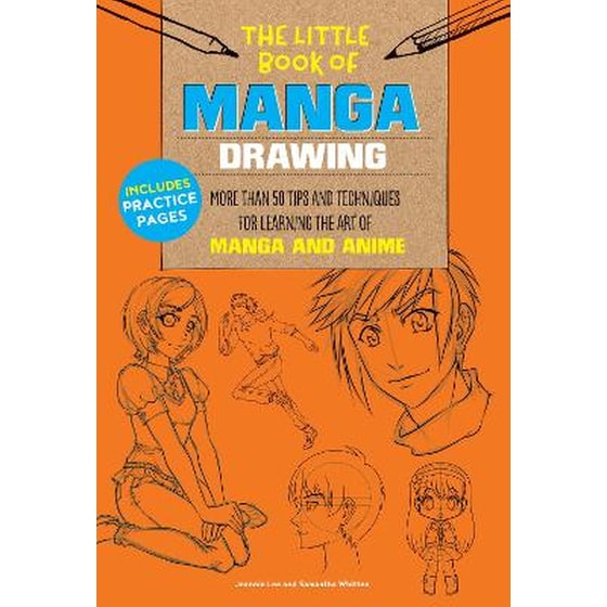 Little Book of Manga Drawing image 0