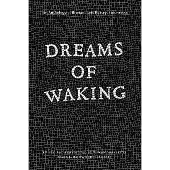 Dreams of Waking image 0