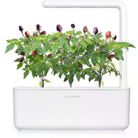 Κάψουλες Click and Grow 3 Τμχ - Μωβ Πιπεριά Chilli image 1