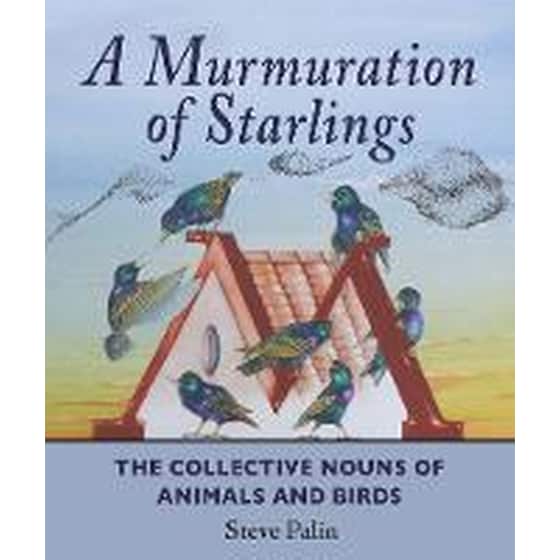Murmuration of Starlings image 0