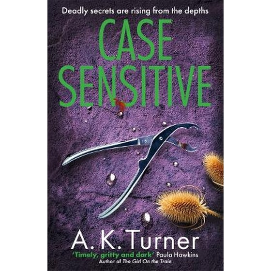Case Sensitive image 0