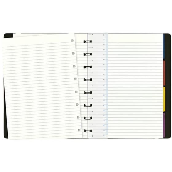 Σημειωματάριο Filofax Ριγέ Large (1 Τεμάχιο) image 1