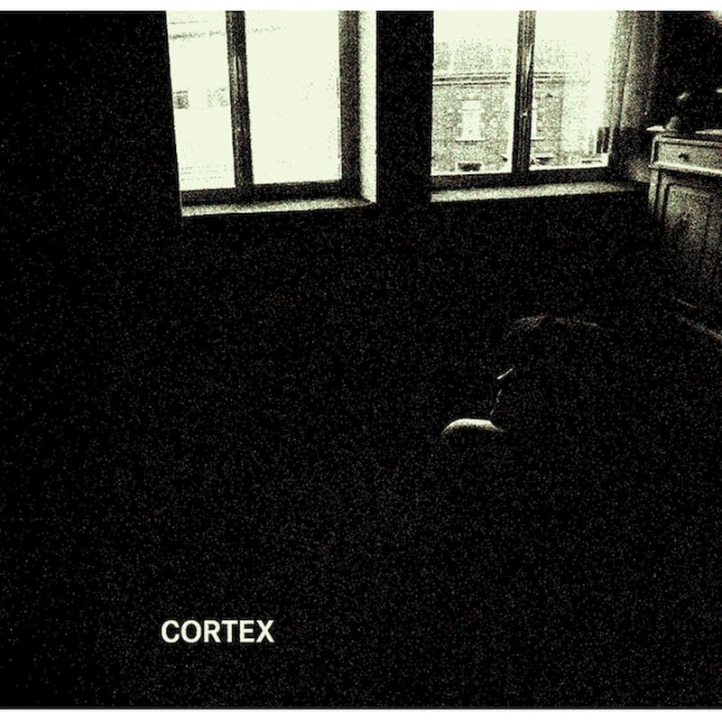 Cortex (LP)