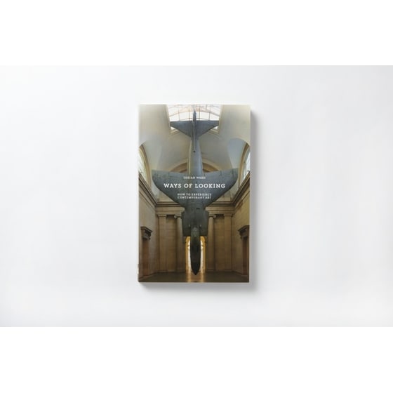 Ways of Looking image 2