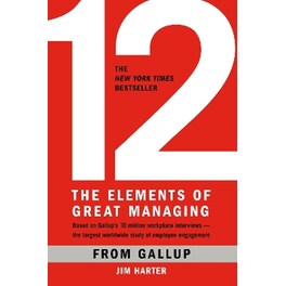 12: The Elements of Great Managing