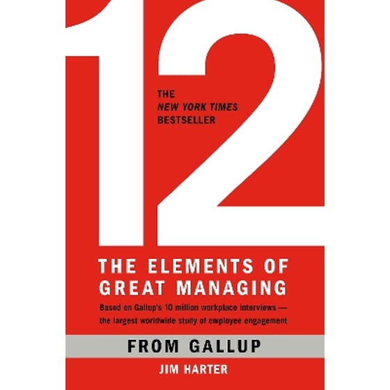 12: The Elements of Great Managing image 0
