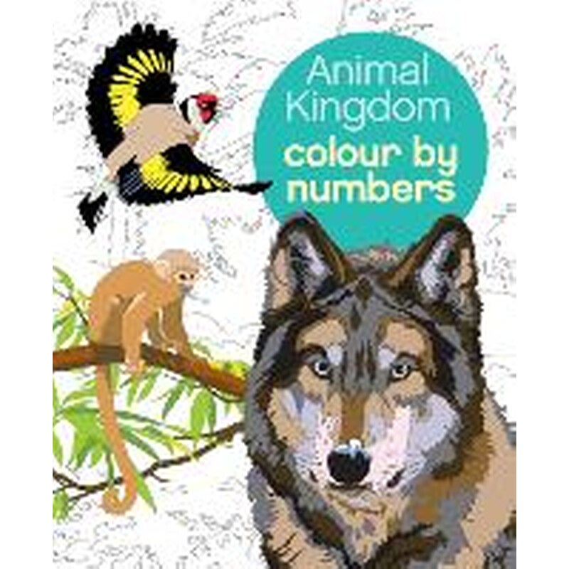 Animal Kingdom Colour by Numbers