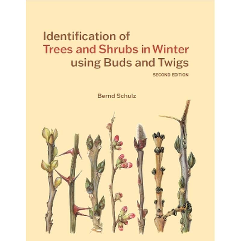 Identification of Trees and Shrubs in Winter using Buds and Twigs
