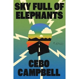 Sky Full of Elephants