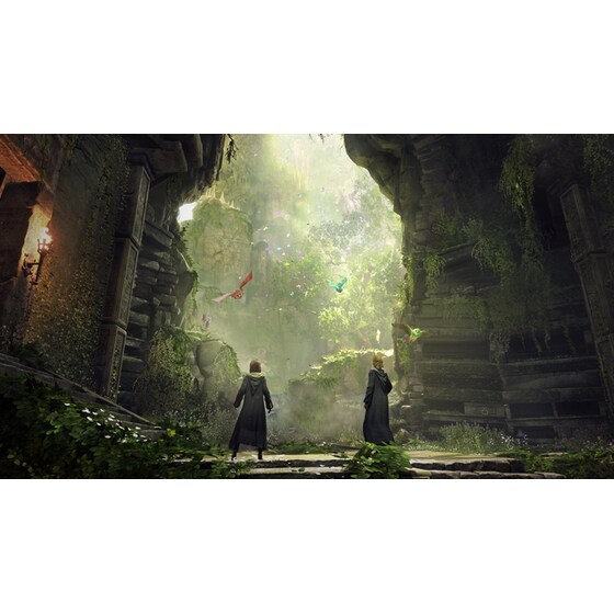 Hogwarts Legacy Deluxe Edition - PS4 image 6