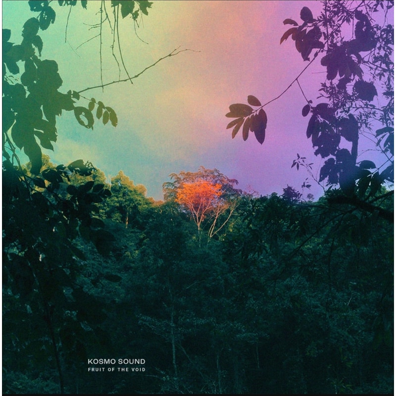 Fruit Of The Void (Coloured Vinyl)