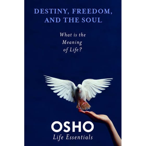 Destiny, Freedom, and the Soul image 0
