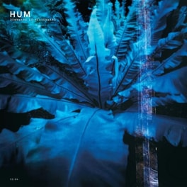 Downward Is Heavenward (Remastered 180g 2LP)