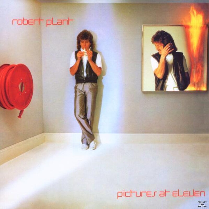 Pictures At Eleven(Exp Rem)