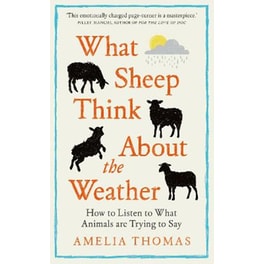 What Sheep Think About the Weather