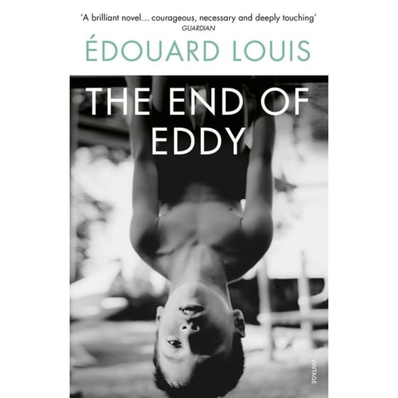 End of Eddy image 0