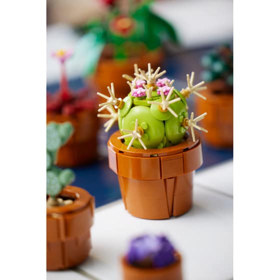 LEGO® Icons Tiny Plants (10329) image 20