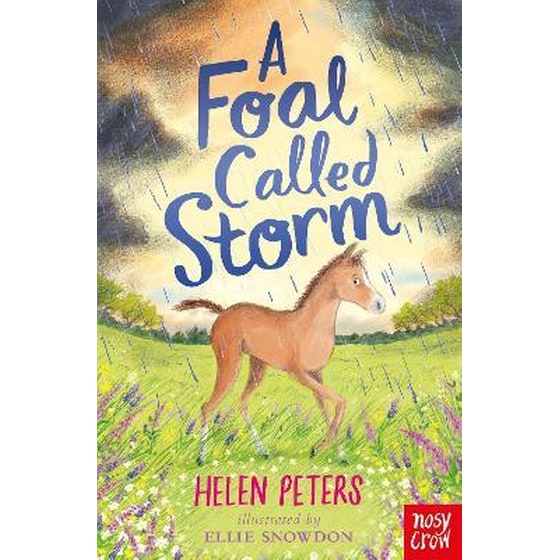 Foal Called Storm image 0