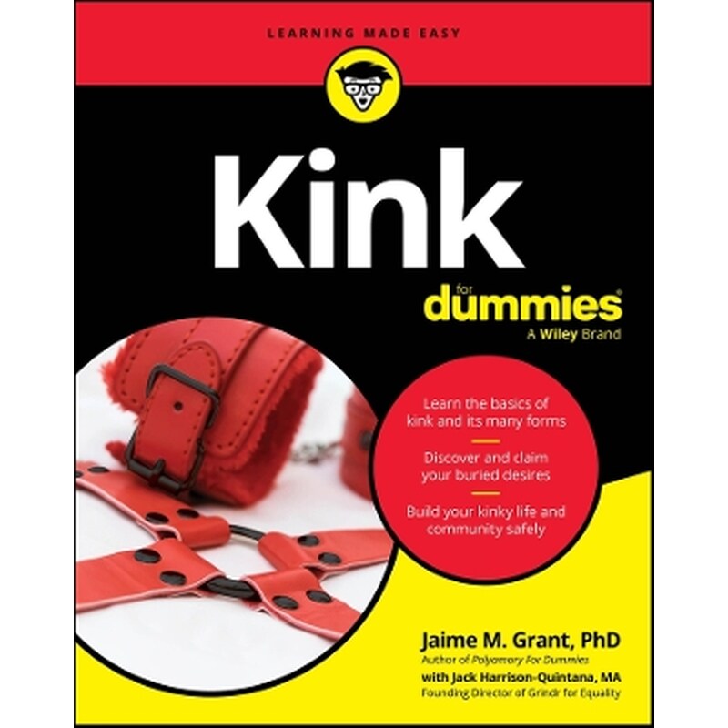 Kink For Dummies