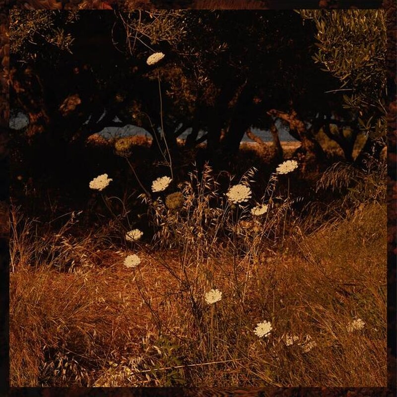 Earth Patterns (+Downloadcode)