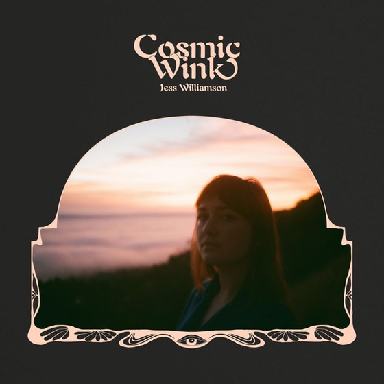 Cosmic Wink image 0