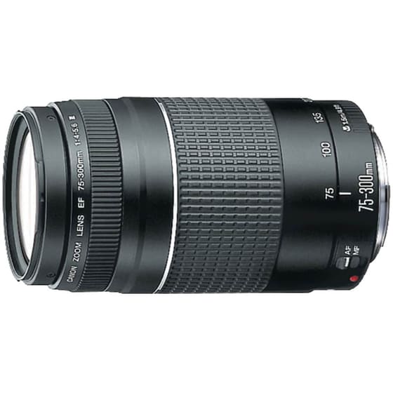 Canon EF 75-300 mm f/4 - 5.6 III - Canon DSLR Lens image 0