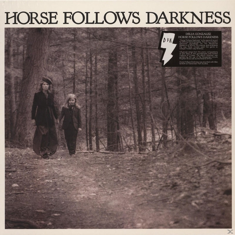 Horse Follows Darkness