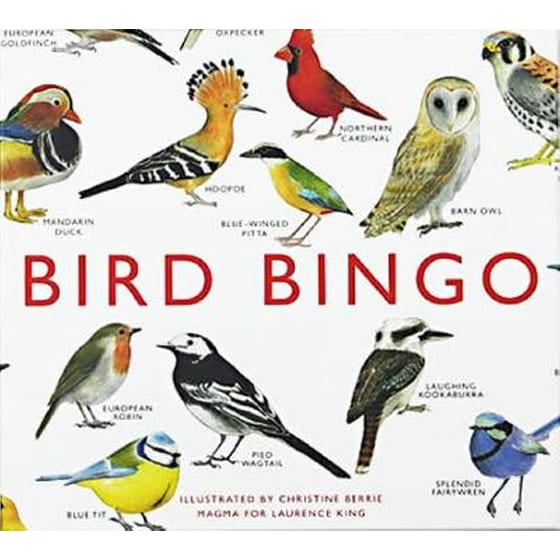 Bird Bingo image 0