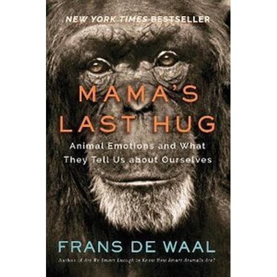 Mama's Last Hug image 0