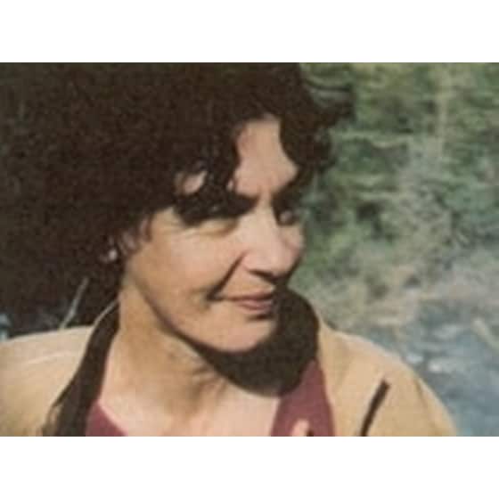 Το μεγάλο ταξίδι του Σιντάρτα image 1