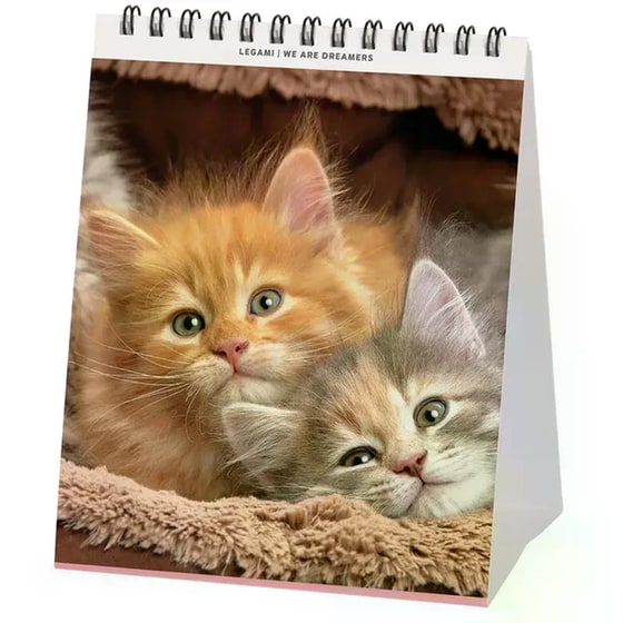 Ημερολόγιο Γραφείου Legami 2026 Kittens image 1