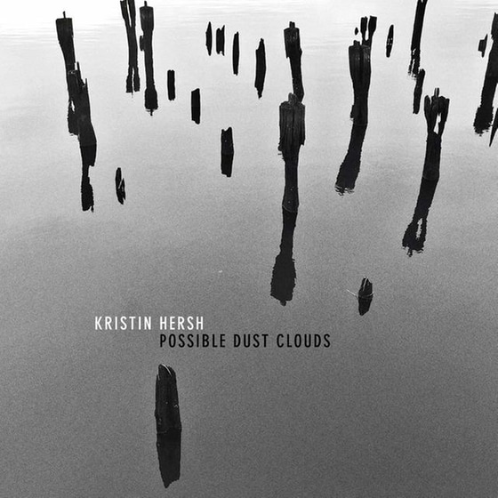 Possible Dust Clouds image 1