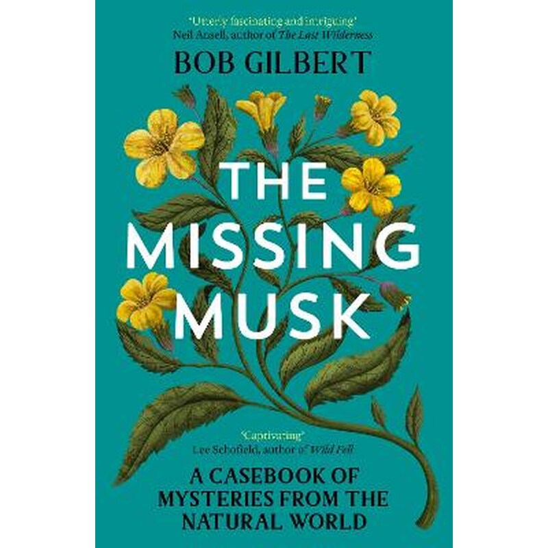 The Missing Musk