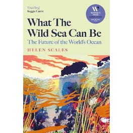 What the Wild Sea Can Be