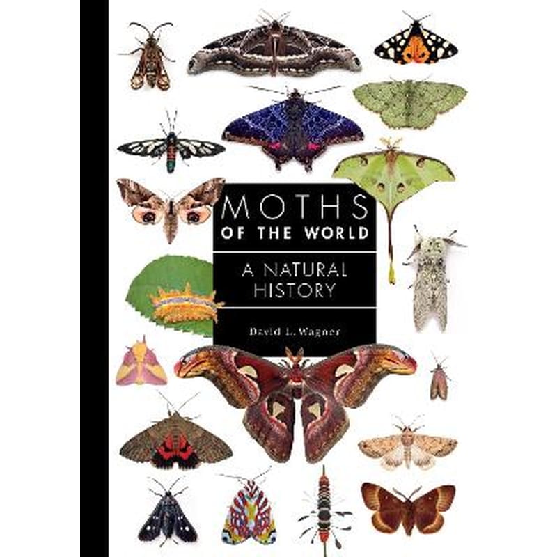 Moths of the World
