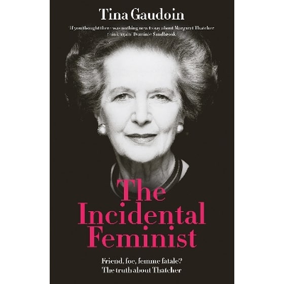 The Incidental Feminist image 0