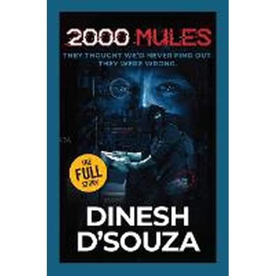 2,000 Mules image 0